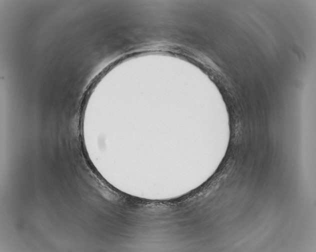 X0000110741216200907271054