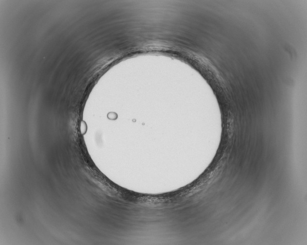 X0000110741217200907271054