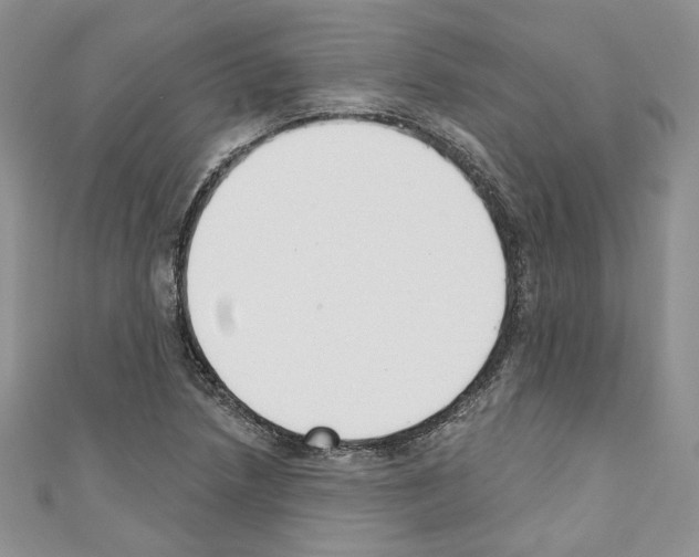 X0000110741218200907271055