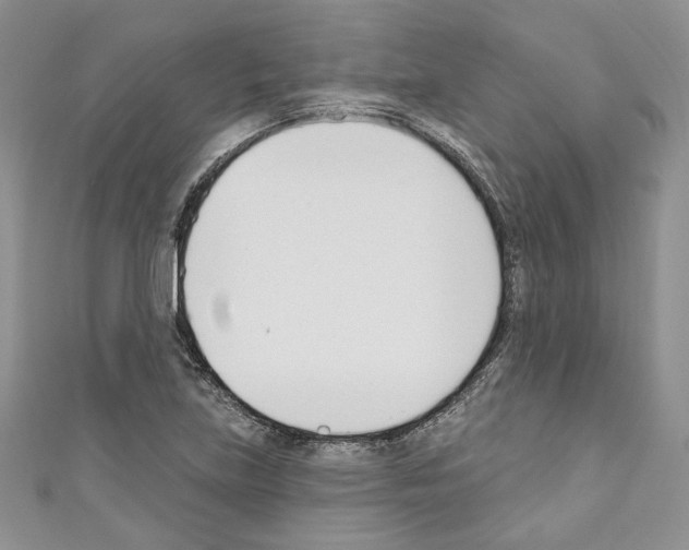 X0000110741219200907271055