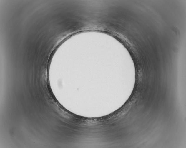 X0000110741220200907271055