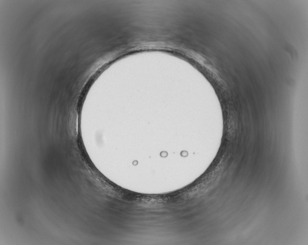 X0000110741221200907271055