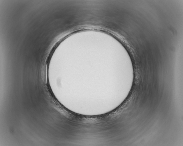 X0000110741223200907271055