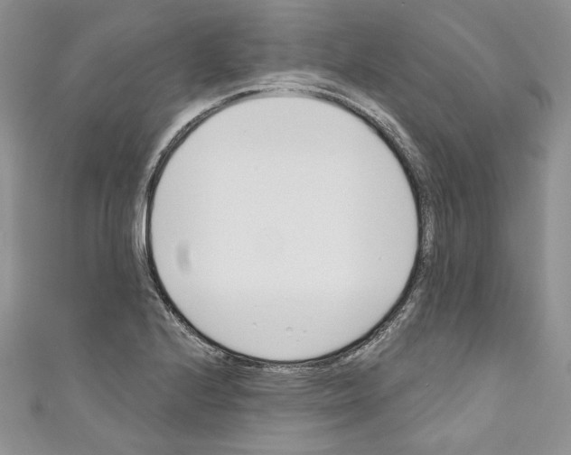 X0000110741224200907271055