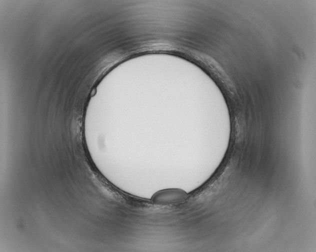 X0000110741225200907271055