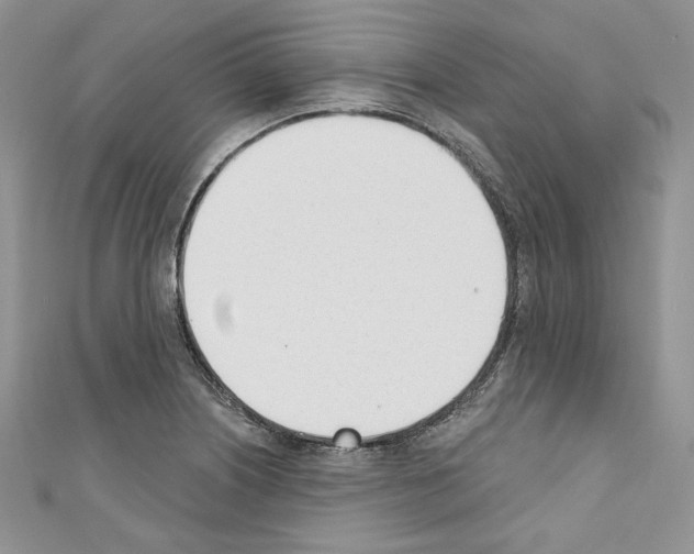 X0000110741226200907271055