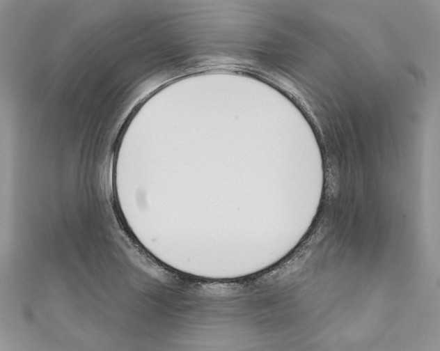 X0000110741227200907271055