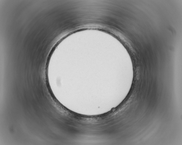 X0000110741229200907271055