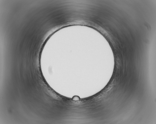 X0000110741230200907271055