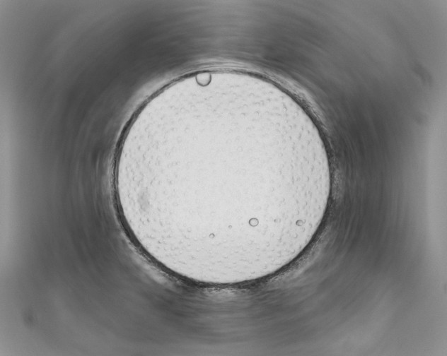 X0000110741231200907271055