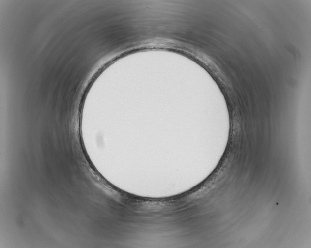 X0000110741232200907271055