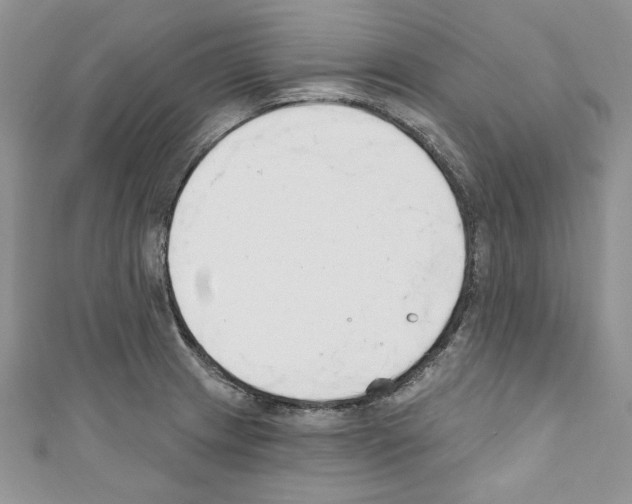 X0000110741233200907271055