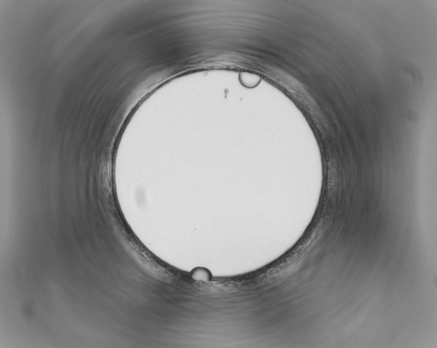 X0000110741234200907271055