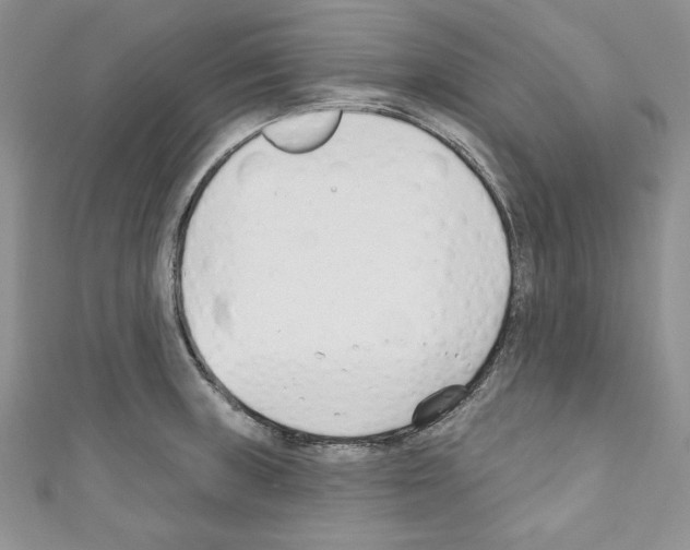 X0000110741235200907271055