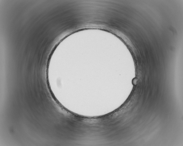 X0000110741237200907271055