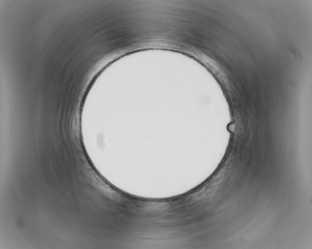 X0000110741238200907271055