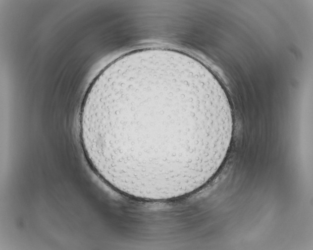 X0000110741239200907271055