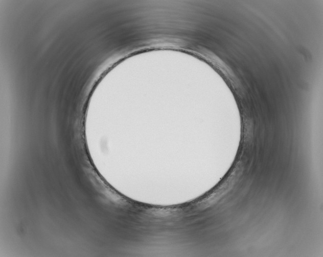 X0000110741240200907271055