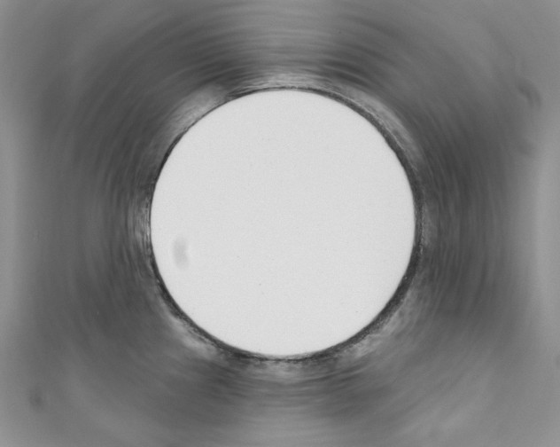 X0000110741241200907271055