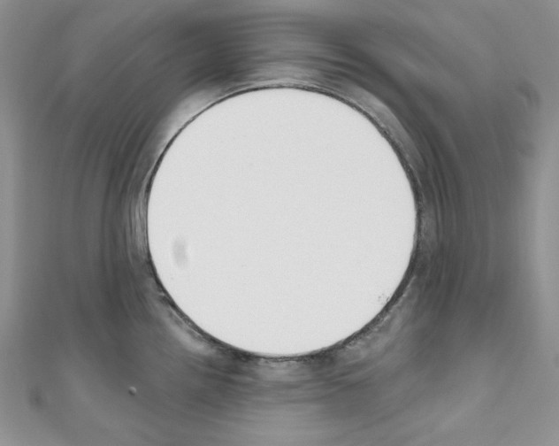 X0000110741242200907271055
