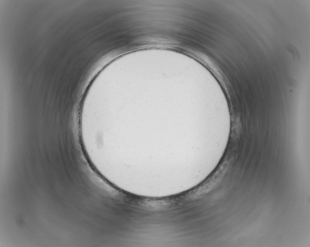 X0000110741243200907271055