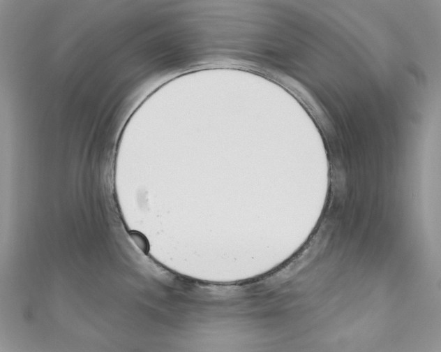X0000110741244200907271055