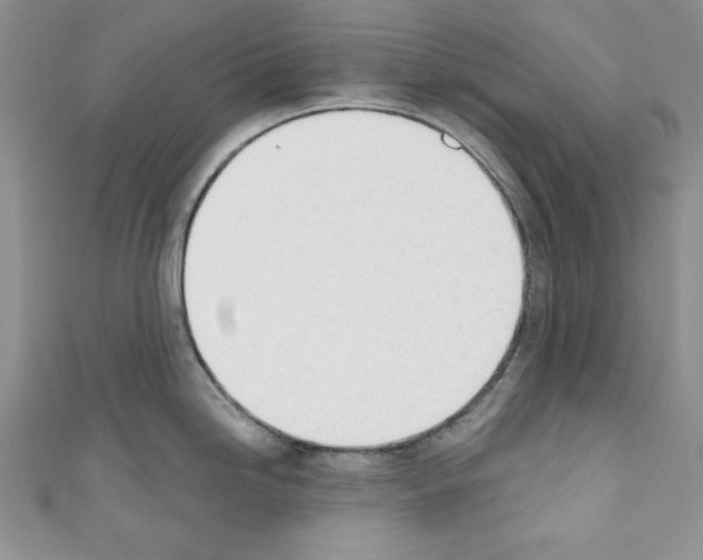 X0000110741246200907271055