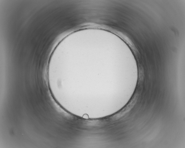 X0000110741247200907271055