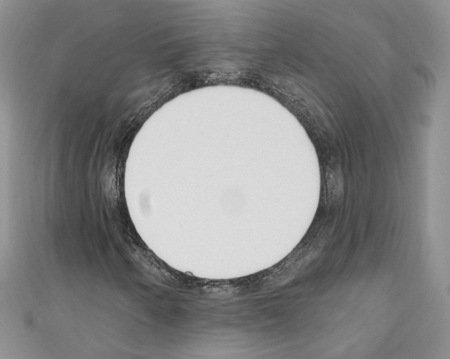 X0000110741250200907271054