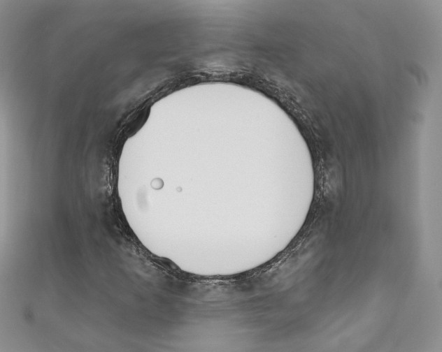 X0000110741253200907271054