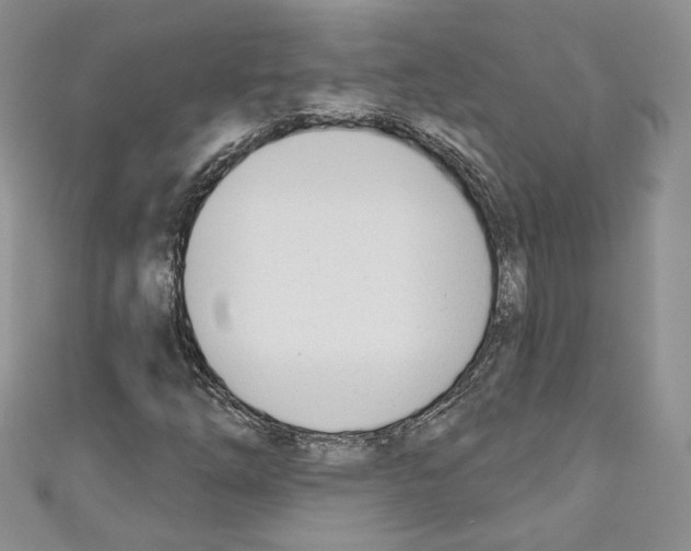 X0000110741254200907271054