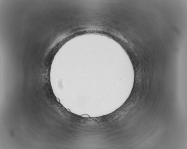 X0000110741255200907271054