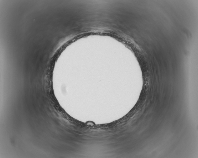 X0000110741256200907271054