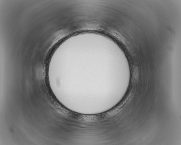 X0000110741258200907271054