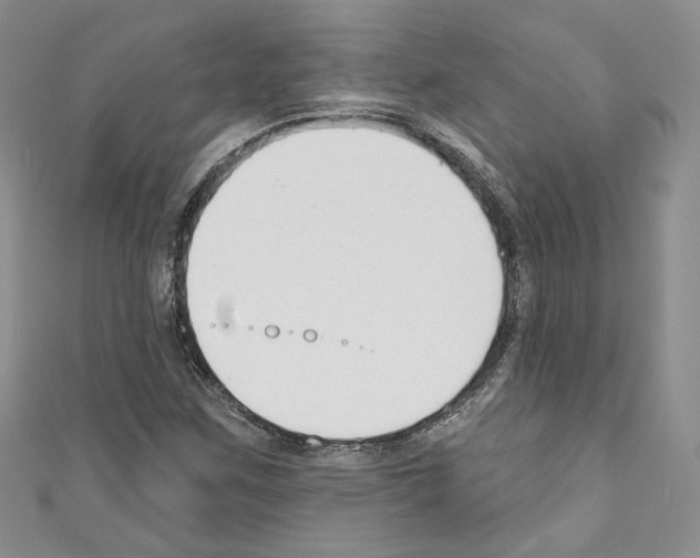 X0000110741259200907271054