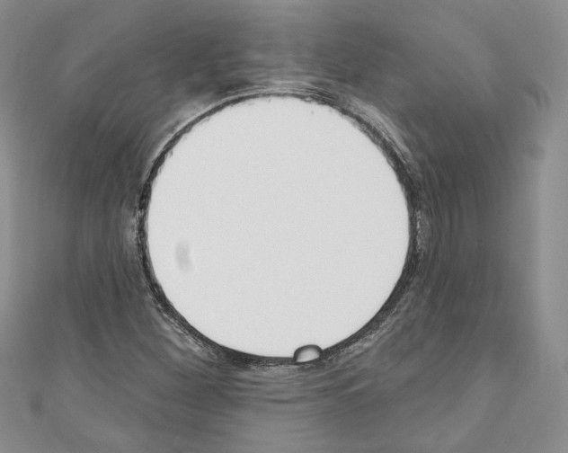 X0000110741260200907271054