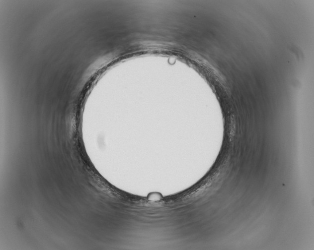 X0000110741261200907271054