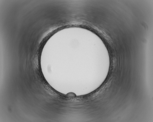 X0000110741262200907271054