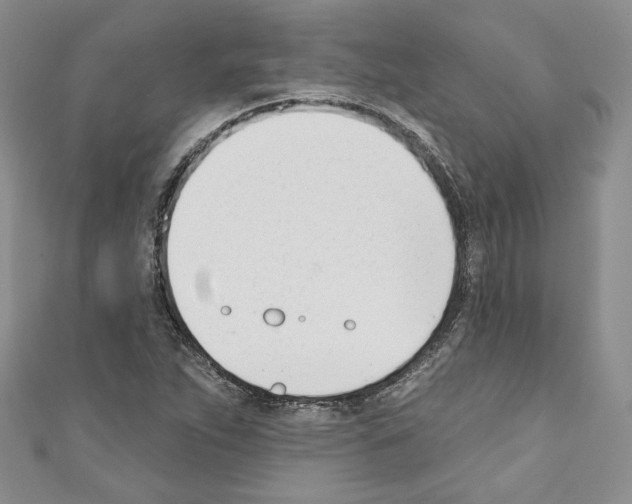 X0000110741263200907271054