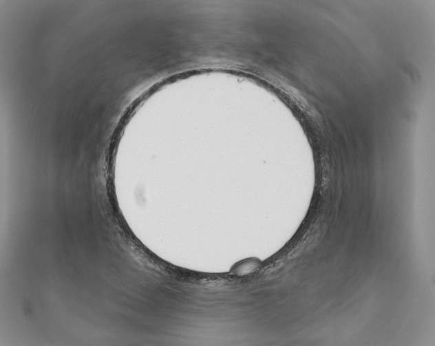 X0000110741264200907271054