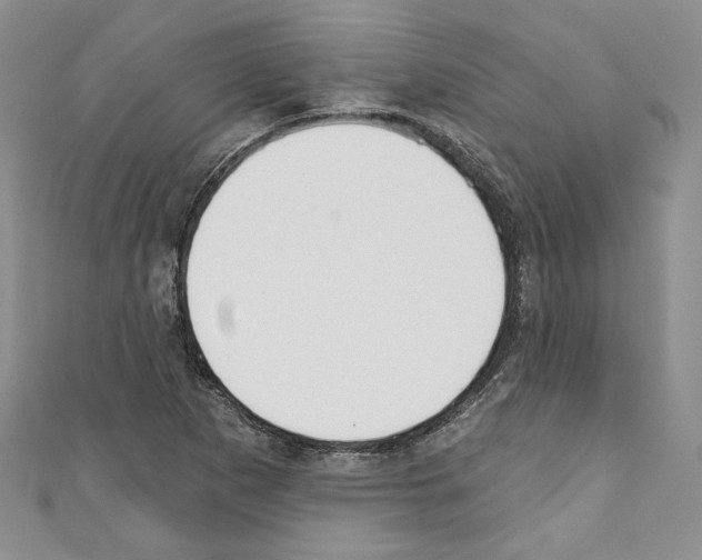X0000110741265200907271054