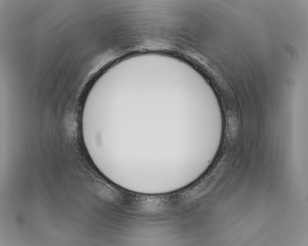 X0000110741266200907271054