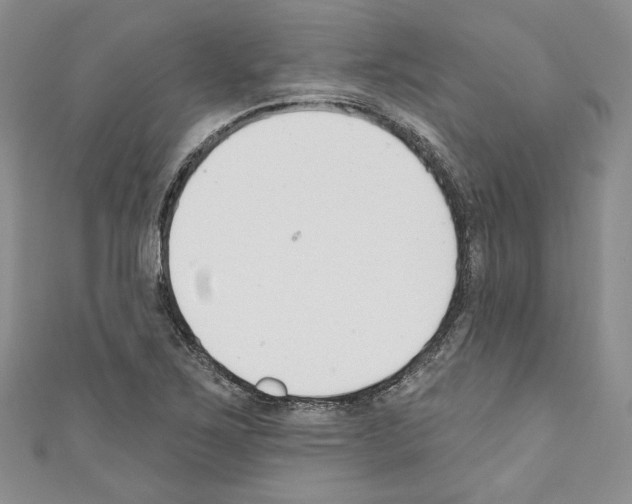 X0000110741267200907271054