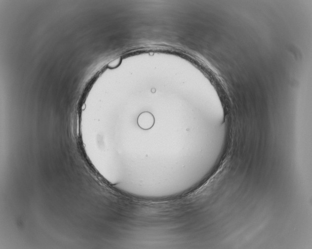 X0000110741269200907271054