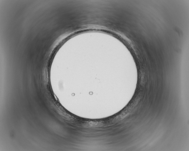 X0000110741271200907271054