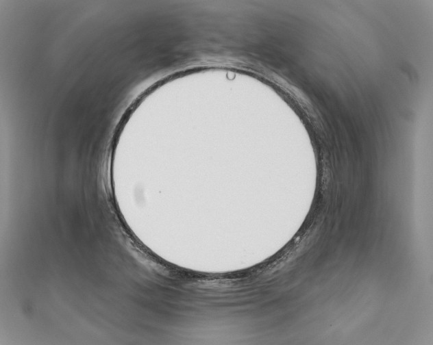 X0000110741272200907271054