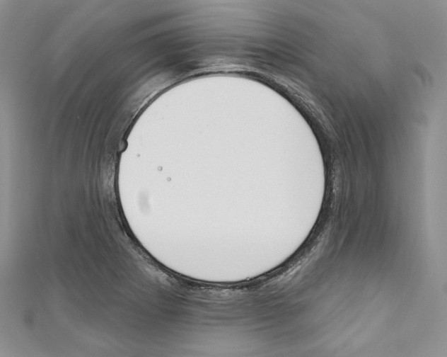 X0000110741273200907271054