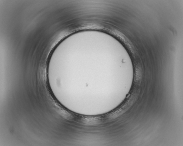 X0000110741274200907271054