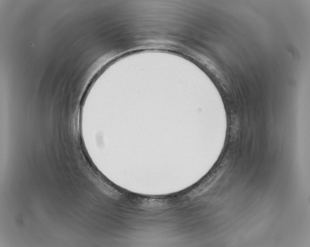 X0000110741275200907271054