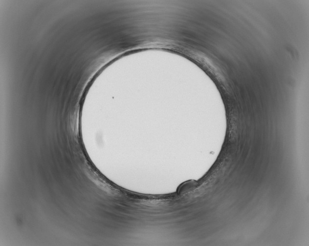X0000110741276200907271054